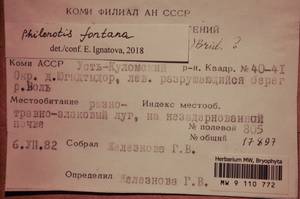 MW 9 110 772, Philonotis fontana (Hedw.) Brid., Гербарий мохообразных, Мхи - Архангельская и Вологодская области, Коми, Ненецкий АО (B7) (Россия)