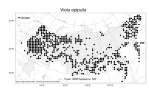 Viola epipsila, Фиалка лысая Ledeb., Атлас флоры России (FLORUS) (Россия)