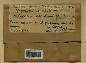 Abietinella abietina (Hedw.) M. Fleisch., Гербарий мохообразных, Мхи - Дальний Восток (без Чукотки и Камчатки) (B20) (Россия)