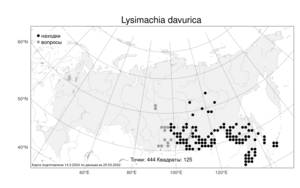 Lysimachia davurica, Вербейник даурский Ledeb., Атлас флоры России (FLORUS) (Россия)