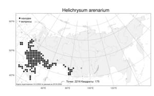 Helichrysum arenarium, Цмин песчаный (L.) Moench, Атлас флоры России (FLORUS) (Россия)