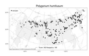 Polygonum humifusum, Спорыш распростертый Mert. ex K. Koch, Атлас флоры России (FLORUS) (Россия)