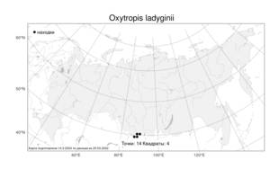 Oxytropis ladyginii, Остролодочник Ладыгина Krylov, Атлас флоры России (FLORUS) (Россия)