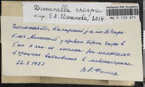 Dicranella crispa (Hedw.) Schimp., Гербарий мохообразных, Мхи - Прибайкалье и Забайкалье (B18) (Россия)