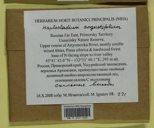 Haplocladium angustifolium (Hampe & Müll. Hal.) Broth., Гербарий мохообразных, Мхи - Дальний Восток (без Чукотки и Камчатки) (B20) (Россия)