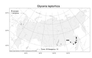Glyceria leptorhiza, Манник тонкокорневищный (Maxim.) Kom., Атлас флоры России (FLORUS) (Россия)