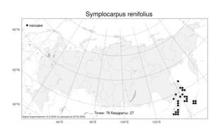 Symplocarpus renifolius, Связноплодник почколистный Schott ex Tzvelev, Атлас флоры России (FLORUS) (Россия)