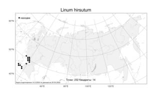 Linum hirsutum, Лен жестковолосистый L., Атлас флоры России (FLORUS) (Россия)