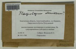 Plagiobryum demissum (Hook.) Lindb., Гербарий мохообразных, Мхи - Чукотка и Камчатка (B21) (Россия)