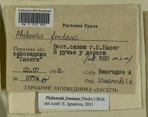 Philonotis fontana (Hedw.) Brid., Гербарий мохообразных, Мхи - Пермский край, Удмуртия, Свердловская и Кировская области (B8) (Россия)