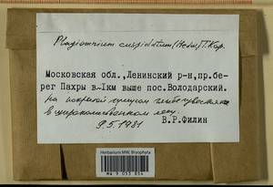 Plagiomnium cuspidatum (Hedw.) T.J. Kop., Гербарий мохообразных, Мхи - Москва и Московская область (B6a) (Россия)