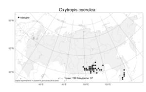 Oxytropis coerulea, Остролодочник голубой (Pall.) DC., Атлас флоры России (FLORUS) (Россия)