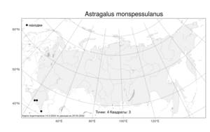 Astragalus monspessulanus, Астрагал монпелийский L., Атлас флоры России (FLORUS) (Россия)