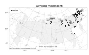 Oxytropis middendorffii, Остролодочник Миддендорфа Trautv., Атлас флоры России (FLORUS) (Россия)