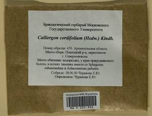 Calliergon cordifolium (Hedw.) Kindb., Гербарий мохообразных, Мхи - Архангельская и Вологодская области, Коми, Ненецкий АО (B7) (Россия)