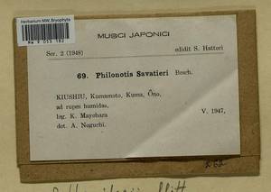 Philonotis thwaitesii Mitt., Гербарий мохообразных, Мхи - Азия (вне границ бывшего СССР) (BAs) (Япония)