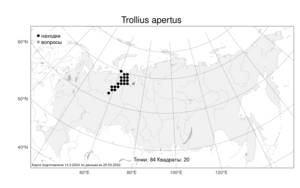 Trollius apertus, Купальница открытая Perfil. ex Igoschina, Атлас флоры России (FLORUS) (Россия)