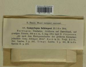 Campylopus schimperi Milde, Гербарий мохообразных, Мхи - Западная Европа (BEu) (Норвегия)