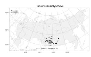 Geranium malyschevii, Герань белоцветковая Ledeb., Атлас флоры России (FLORUS) (Россия)