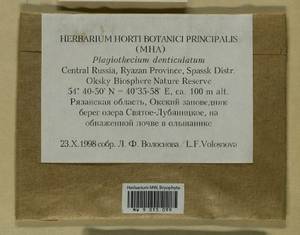 Plagiothecium denticulatum (Hedw.) Schimp., Гербарий мохообразных, Мхи - Центральное Нечерноземье (B6) (Россия)