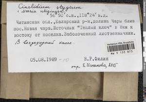 Cinclidium stygium Sw., Гербарий мохообразных, Мхи - Прибайкалье и Забайкалье (B18) (Россия)