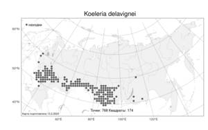 Koeleria delavignei, Тонконог Делавиня, Келерия Делявиня Czern. ex Domin, Атлас флоры России (FLORUS) (Россия)