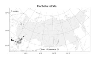 Rochelia retorta, Рохелия согнутая (Pall.) Lipsky, Атлас флоры России (FLORUS) (Россия)