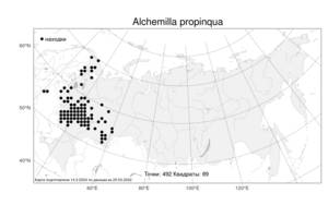 Alchemilla propinqua, Манжетка близкая H. Lindb. ex Juz., Атлас флоры России (FLORUS) (Россия)