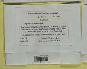 Bryum altaicum Broth., Гербарий мохообразных, Мхи - Красноярский край, Тыва и Хакасия (B17) (Россия)