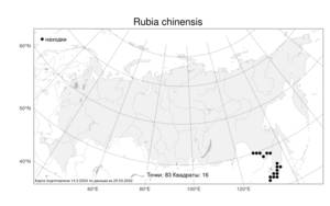 Rubia chinensis, Марена китайская Regel & Maack, Атлас флоры России (FLORUS) (Россия)