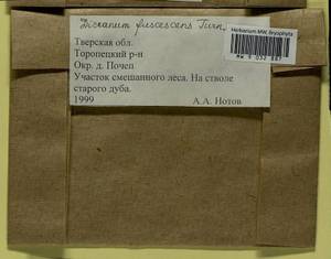 Dicranum fuscescens Turner, Гербарий мохообразных, Мхи - Центральное Нечерноземье (B6) (Россия)