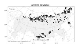 Eutrema edwardsii, Эвтрема Эдвардса R.Br., Атлас флоры России (FLORUS) (Россия)