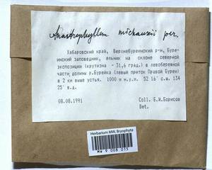Anastrophyllum michauxii (F. Weber) H. Buch, Гербарий мохообразных, Мхи - Дальний Восток (без Чукотки и Камчатки) (B20) (Россия)