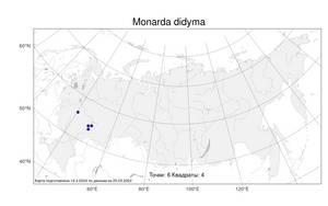 Monarda didyma, Монарда двойчатая L., Атлас флоры России (FLORUS) (Россия)