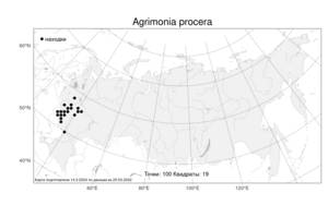 Agrimonia procera, Репешок высокий Wallr., Атлас флоры России (FLORUS) (Россия)