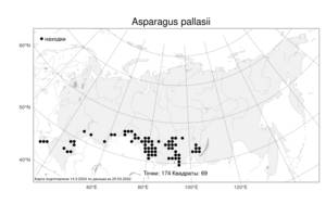 Asparagus pallasii, Спаржа Палласа Miscz., Атлас флоры России (FLORUS) (Россия)