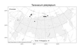 Taraxacum platylepium, Одуванчик плоскочешуйный Dahlst., Атлас флоры России (FLORUS) (Россия)