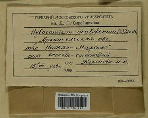 Pleurozium schreberi (Willd. ex Brid.) Mitt., Гербарий мохообразных, Мхи - Архангельская и Вологодская области, Коми, Ненецкий АО (B7) (Россия)