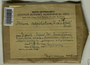 Plagiomnium medium (Bruch & Schimp.) T.J. Kop., Гербарий мохообразных, Мхи - Центральное Нечерноземье (B6) (Россия)