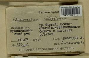 Plagiomnium ellipticum (Brid.) T.J. Kop., Гербарий мохообразных, Мхи - Пермский край, Удмуртия, Свердловская и Кировская области (B8) (Россия)