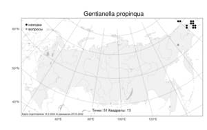 Gentianella propinqua, Горечавочка близкая (Richardson) J. M. Gillett, Атлас флоры России (FLORUS) (Россия)