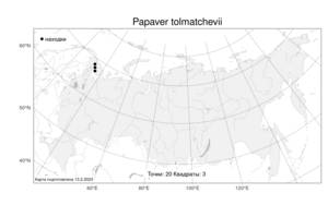 Papaver tolmatchevii, Papaver lapponicum subsp. lapponicum, Атлас флоры России (FLORUS) (Россия)