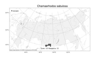 Chamaerhodos sabulosa, Хамеродос песчаный Bunge, Атлас флоры России (FLORUS) (Россия)