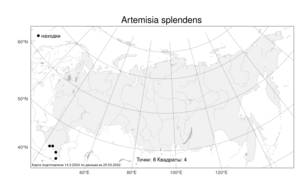 Artemisia splendens, Полынь блестящая Willd., Атлас флоры России (FLORUS) (Россия)