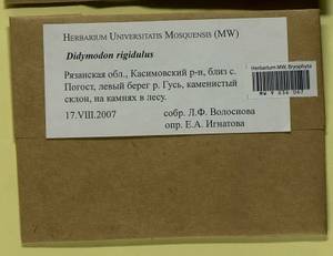 Didymodon rigidulus Hedw., Гербарий мохообразных, Мхи - Центральное Нечерноземье (B6) (Россия)