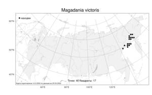 Magadania victoris, Магадания Виктора (Schischk.) Pimenov & Lavrova, Атлас флоры России (FLORUS) (Россия)
