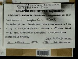 Dicranum laevidens R.S. Williams, Гербарий мохообразных, Мхи - Якутия (B19) (Россия)
