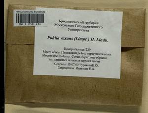 Pohlia vexans (Limpr.) H. Lindb., Гербарий мохообразных, Мхи - Архангельская и Вологодская области, Коми, Ненецкий АО (B7) (Россия)