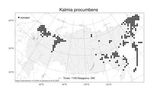 Kalmia procumbens, Кальмия лежачая (L.) Gift, Kron & P. F. Stevens, Атлас флоры России (FLORUS) (Россия)