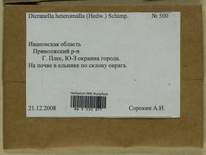 Dicranella heteromalla (Hedw.) Schimp., Гербарий мохообразных, Мхи - Центральное Нечерноземье (B6) (Россия)